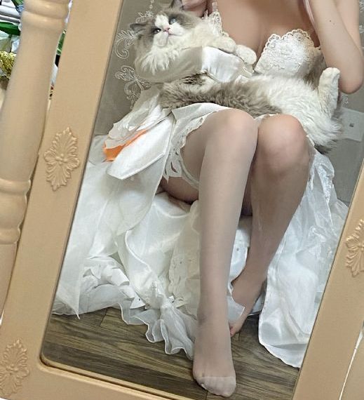 成全免费完整高清电视