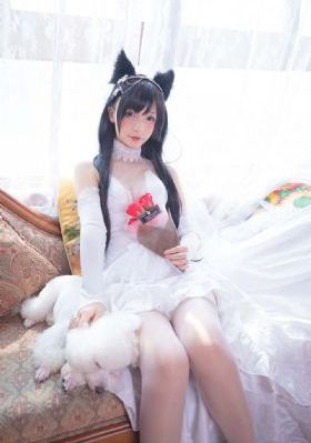 美丽姑娘高清视频免费中国观看